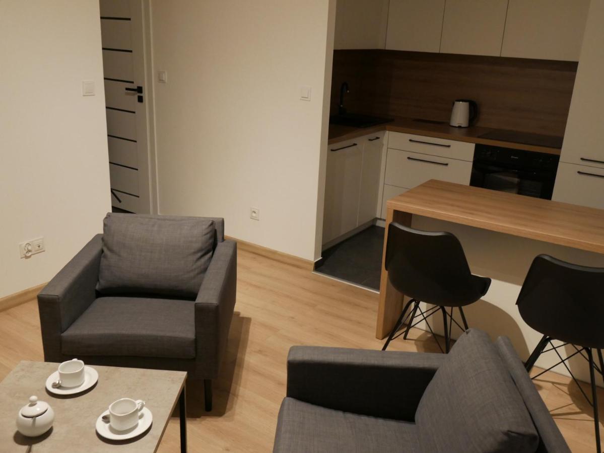 Auschwitz New Flat For Rent Air Conditioning In The Apartament Oswiecim Nowe Mieszkanie - Centrum Klimatyzacja W Mieszkaniu Leilighet Eksteriør bilde